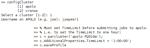 MATLAB client