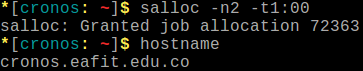 ../../../_images/hostname_salloc1.png