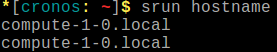 ../../../_images/hostname_salloc2.png